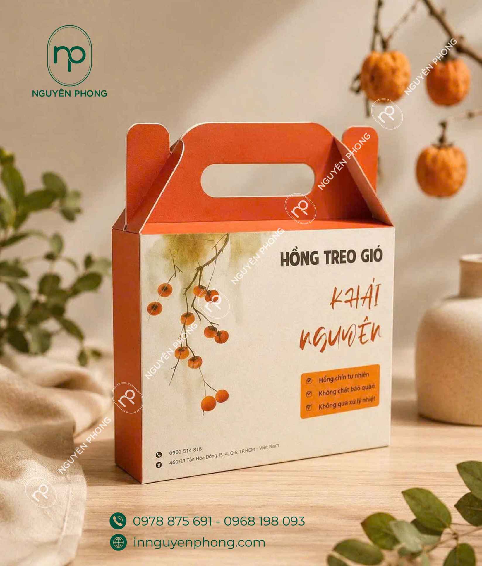 Mẫu hộp carton đựng hồng treo gió 